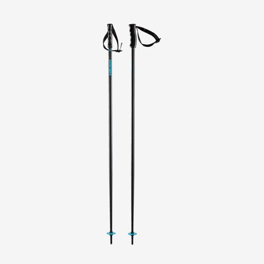 Wintersports HEAD Poles | Multi Performance Pole